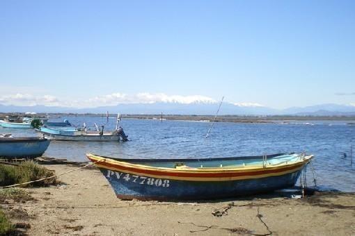 Villa 940 Sur L'Ile Des Pecheurs Le Barcares Ruang foto